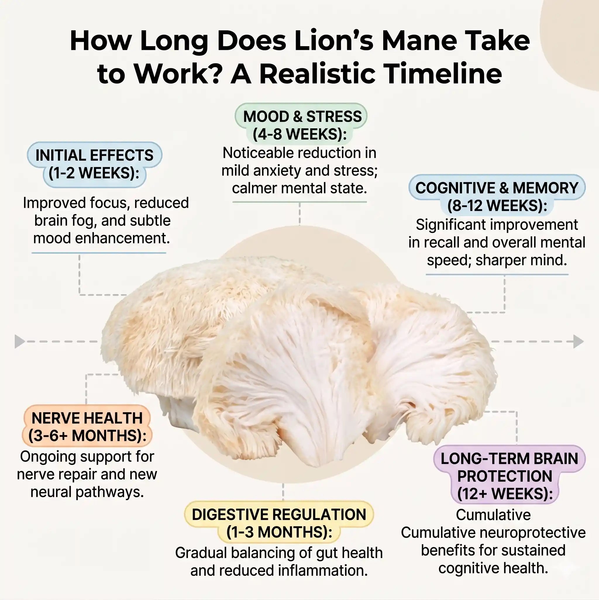 How Long Does Lion's Mane Take to Work? A Realistic Timeline