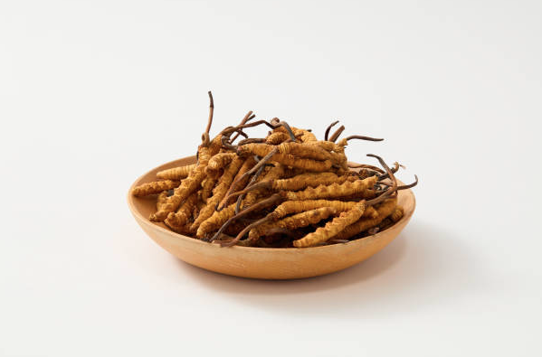 Cordyceps Militaris vs Sinensis: What's the Difference?