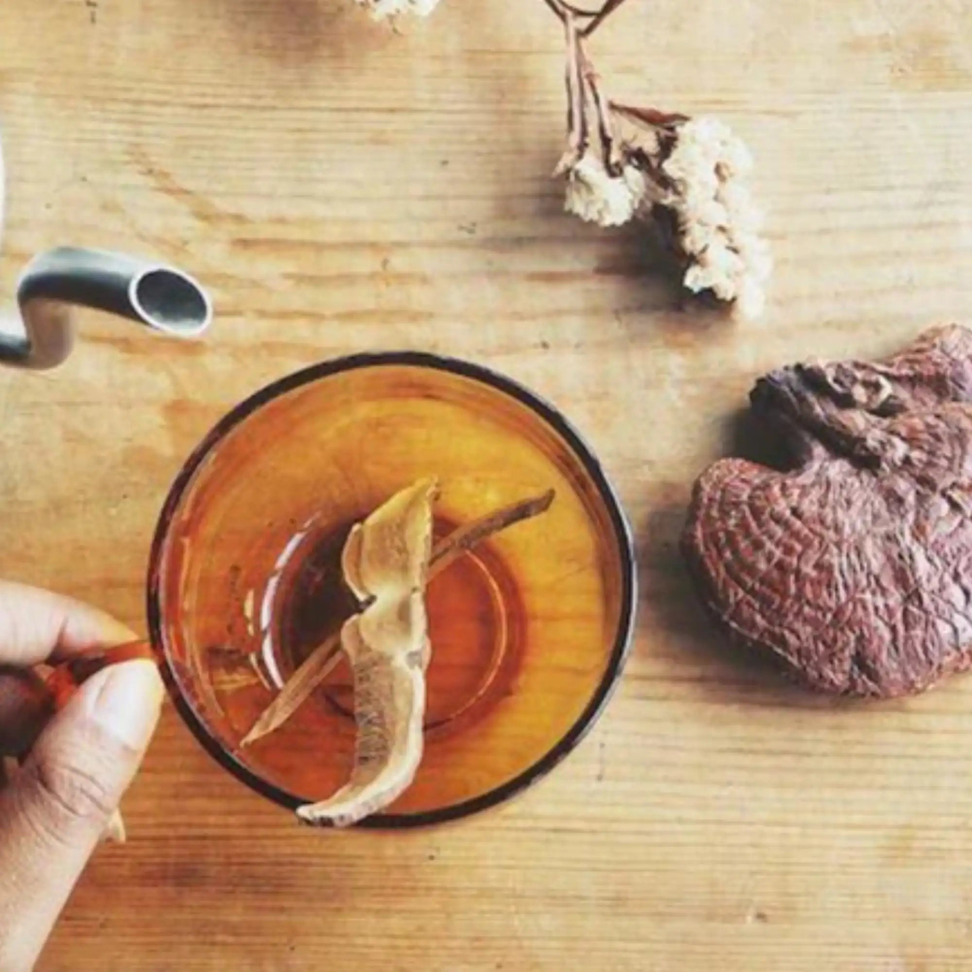 Tea with Functional Mushrooms for Stress Relief - Benefits Of Reishi Tea