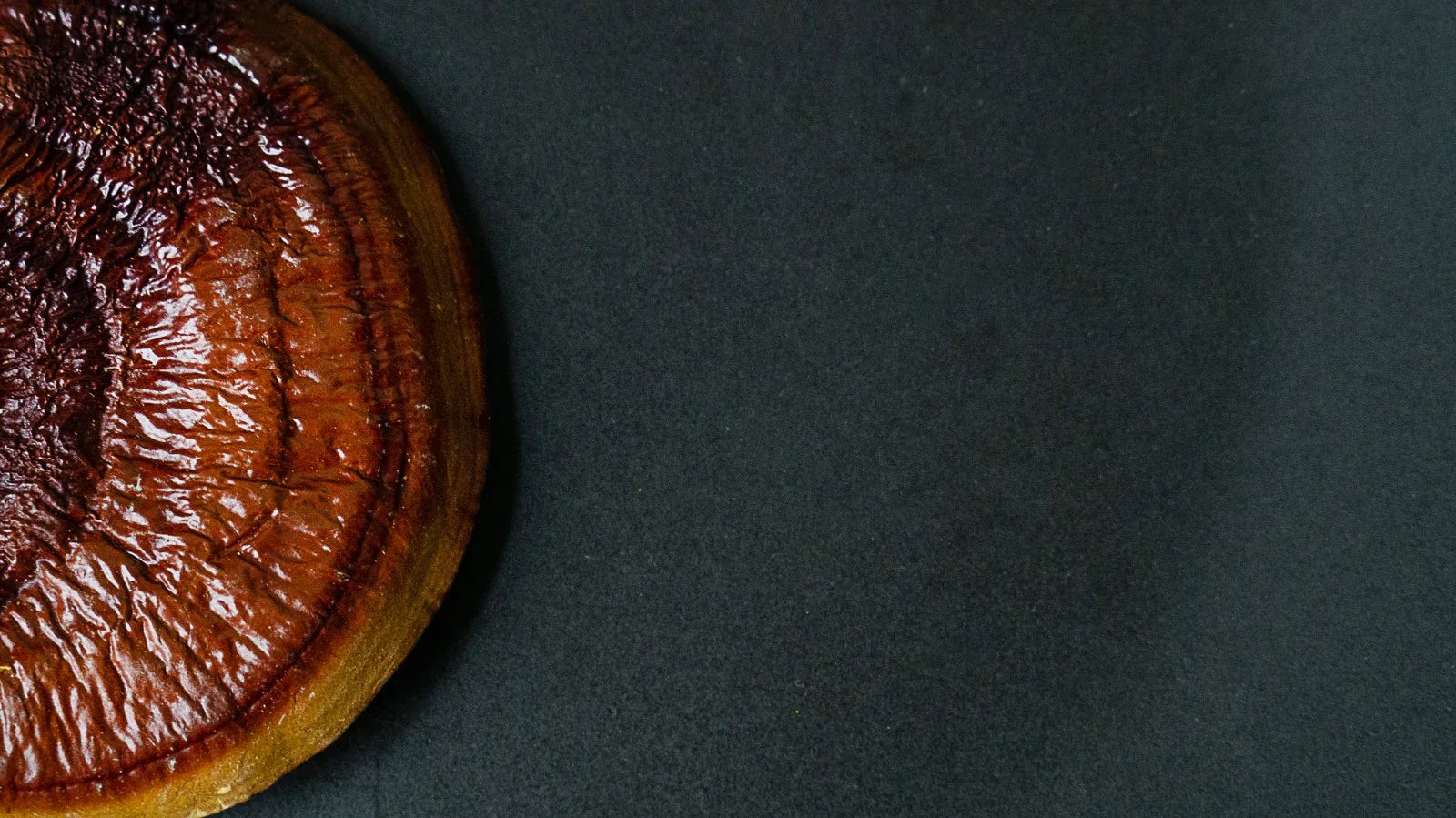 How Long Does Reishi Take to Work? What to Realistically Expect