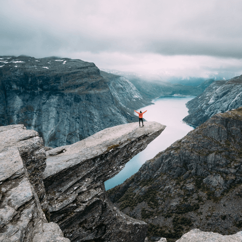 Functional Mushroom supplements for weight loss - Mycogenius