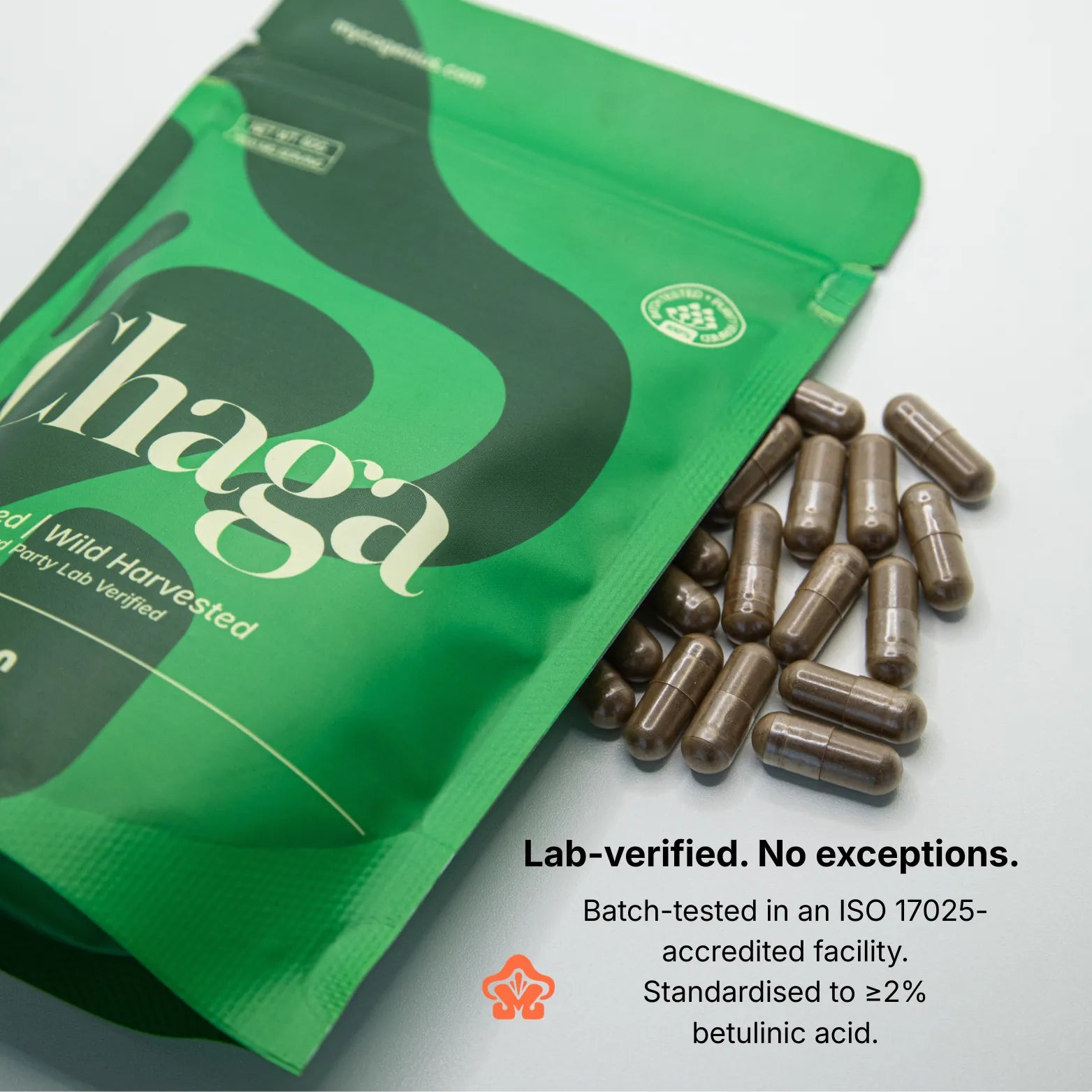 Organic Chaga Mushroom Extract Capsule/Powder
