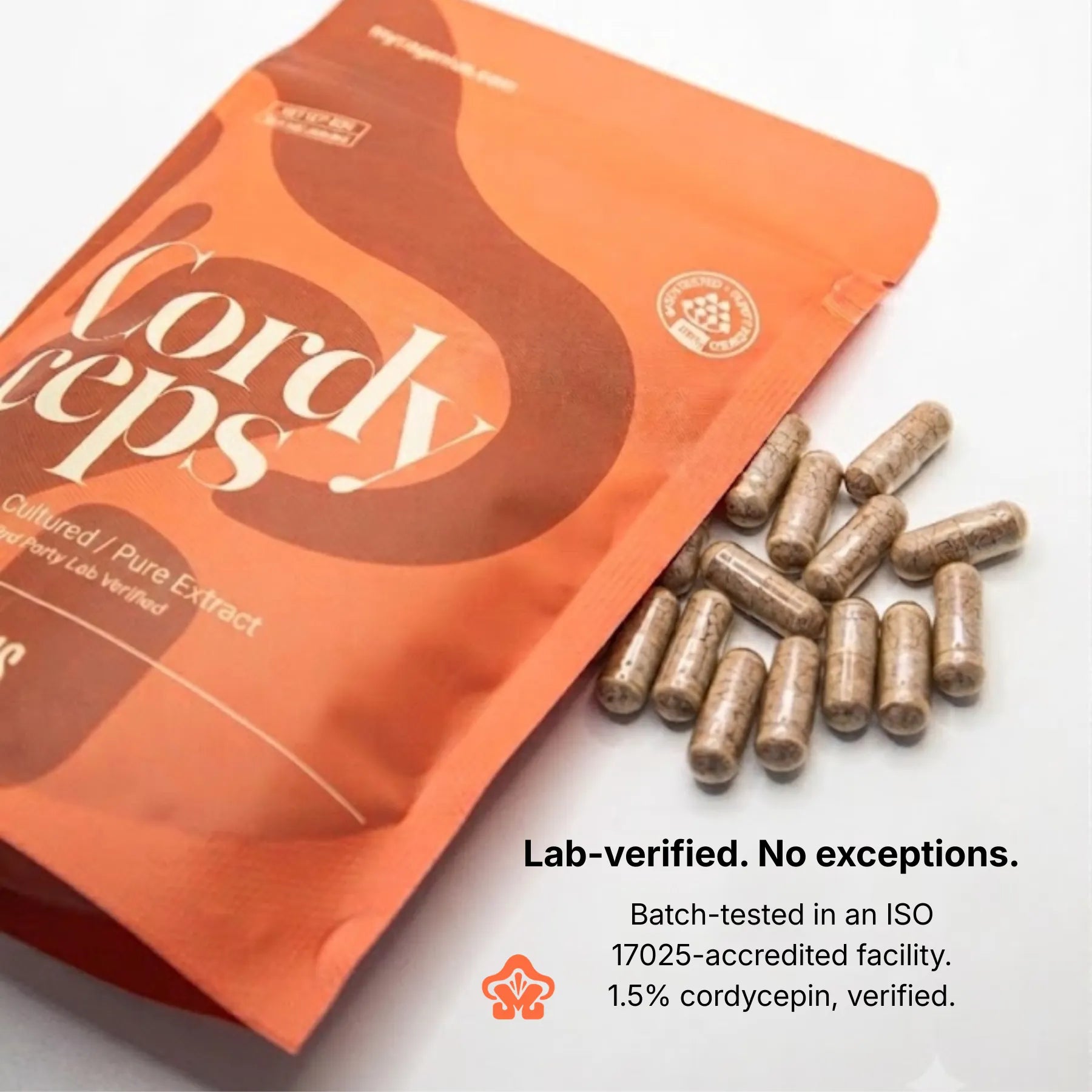 Organic Cordyceps Extract Capsule/Powder