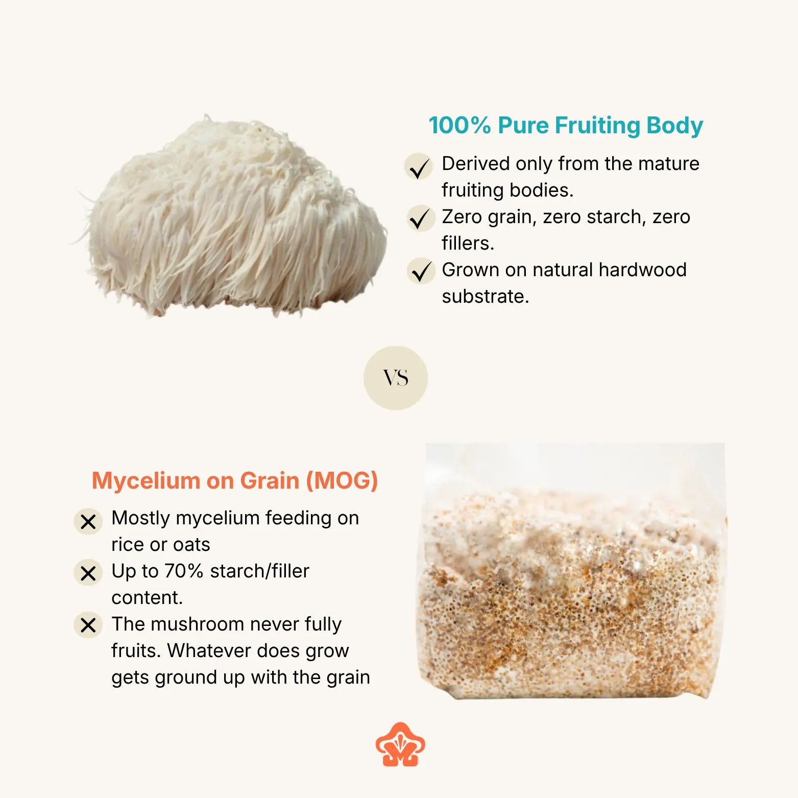 Organic Lion's Mane Extract Capsule/Powder