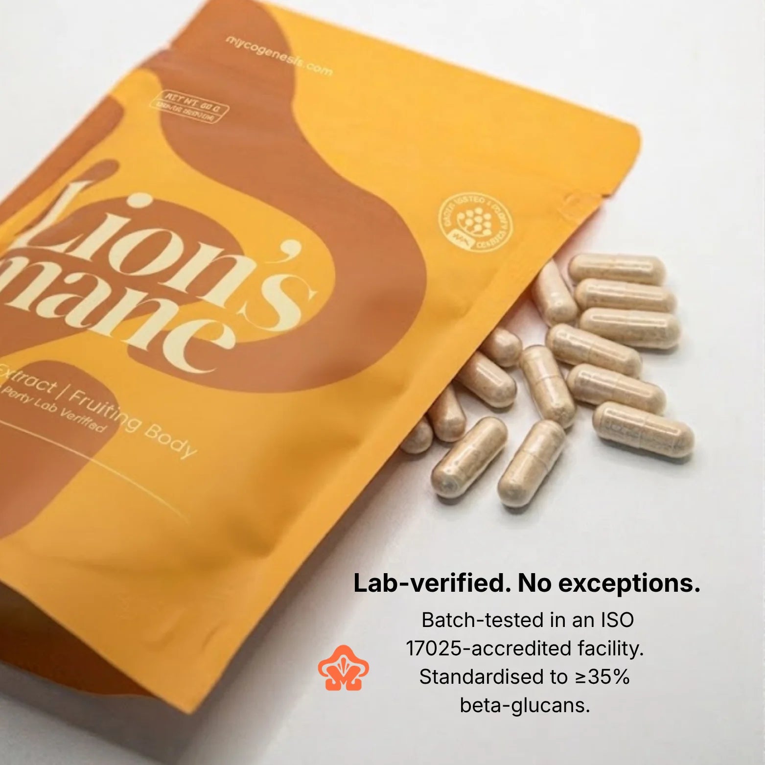 Organic Lion's Mane Extract Capsule/Powder