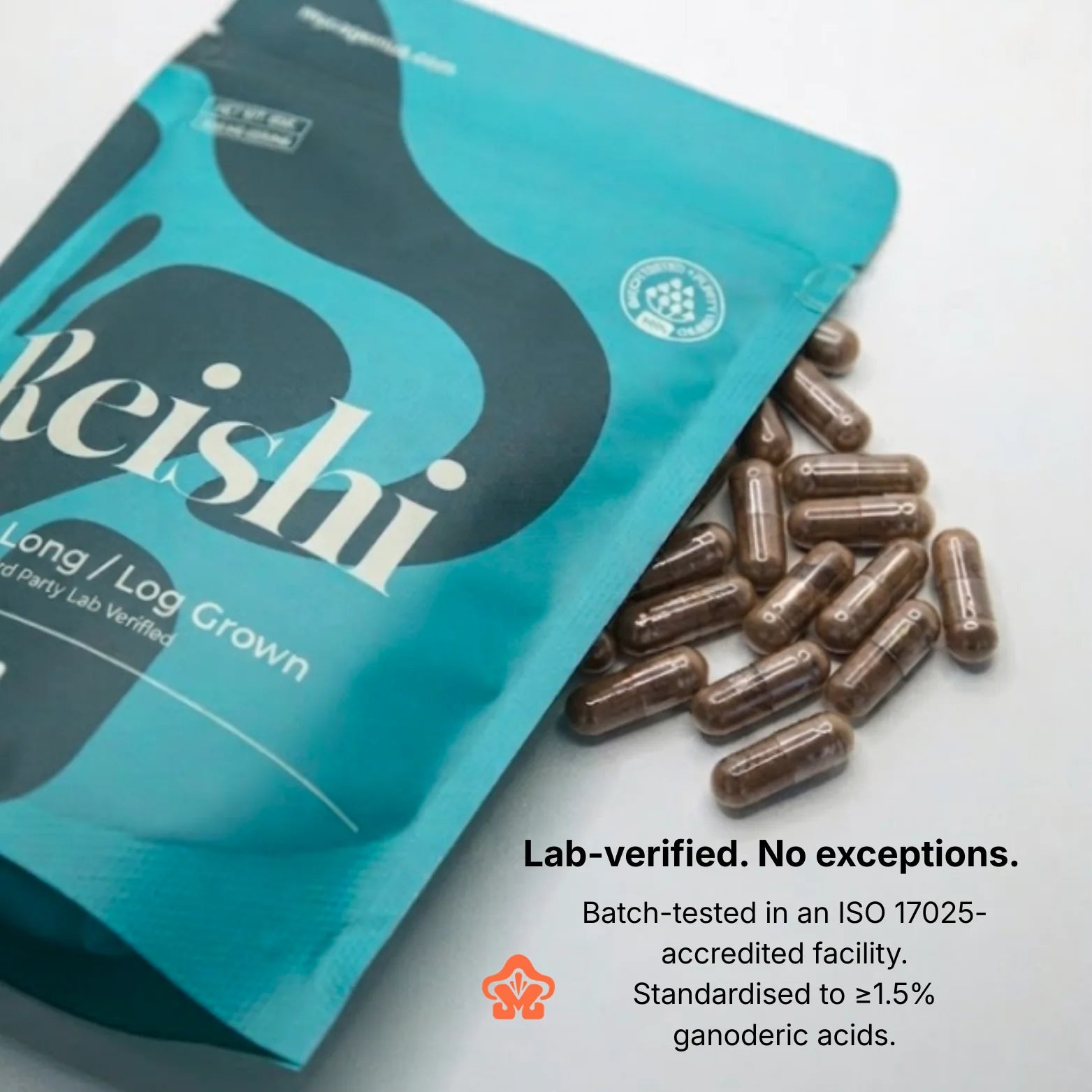 Organic Reishi Mushroom Extract Capsule/Powder