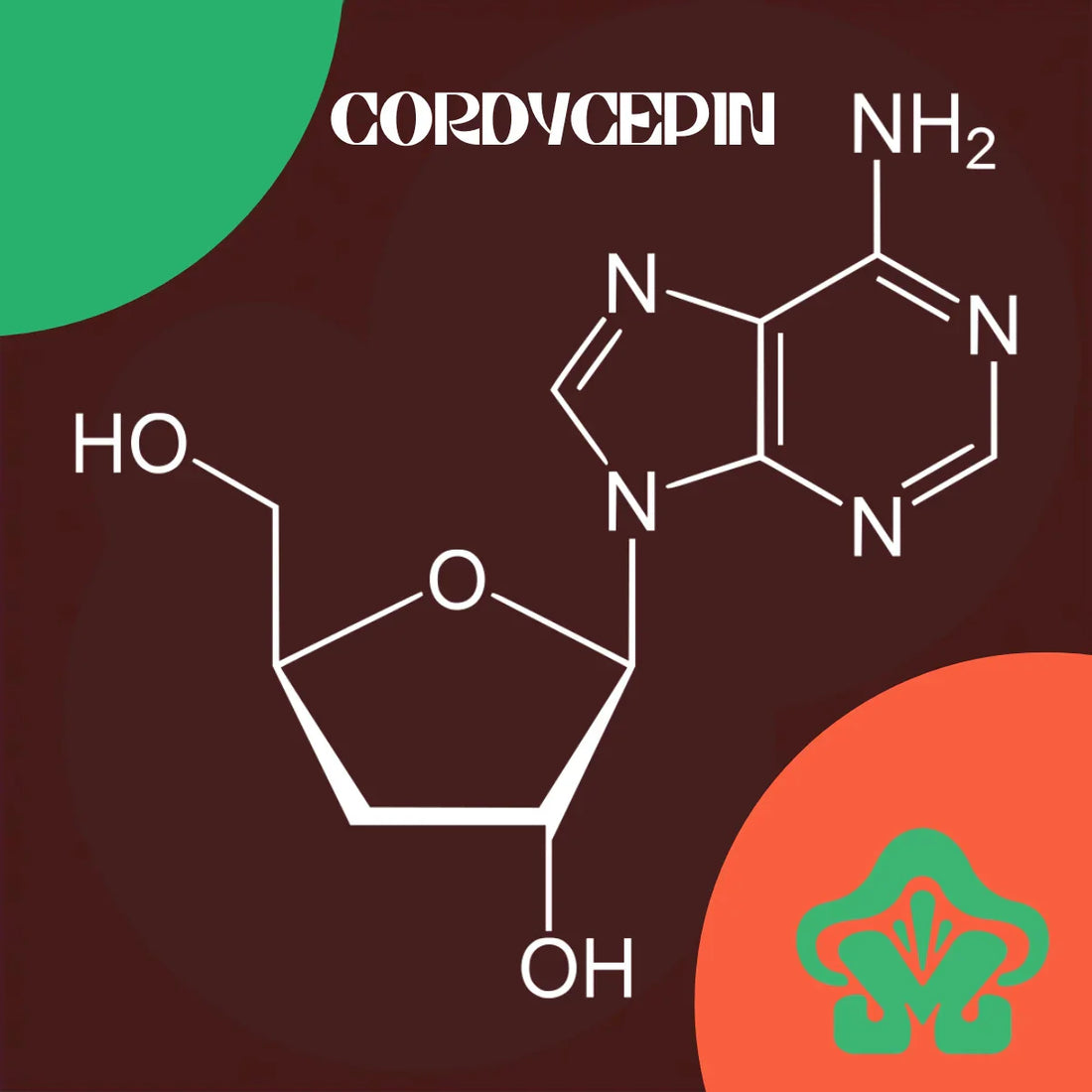 Understanding Cordycepin: The Compound Inside Cordyceps