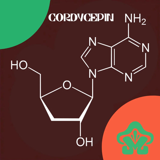 Understanding Cordycepin: The Compound Inside Cordyceps