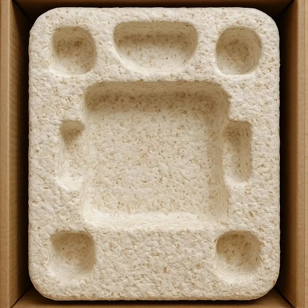 Mycelium Packaging and Plastic-Eating Fungi Reflect the Future of Wellness