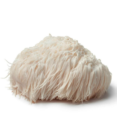How Much Lion's Mane Should You Take? The Complete Dosage Guide