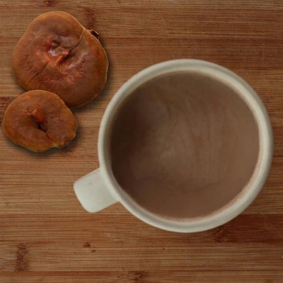 Reishi Mushroom Tea: How to Make It and Why People Drink It