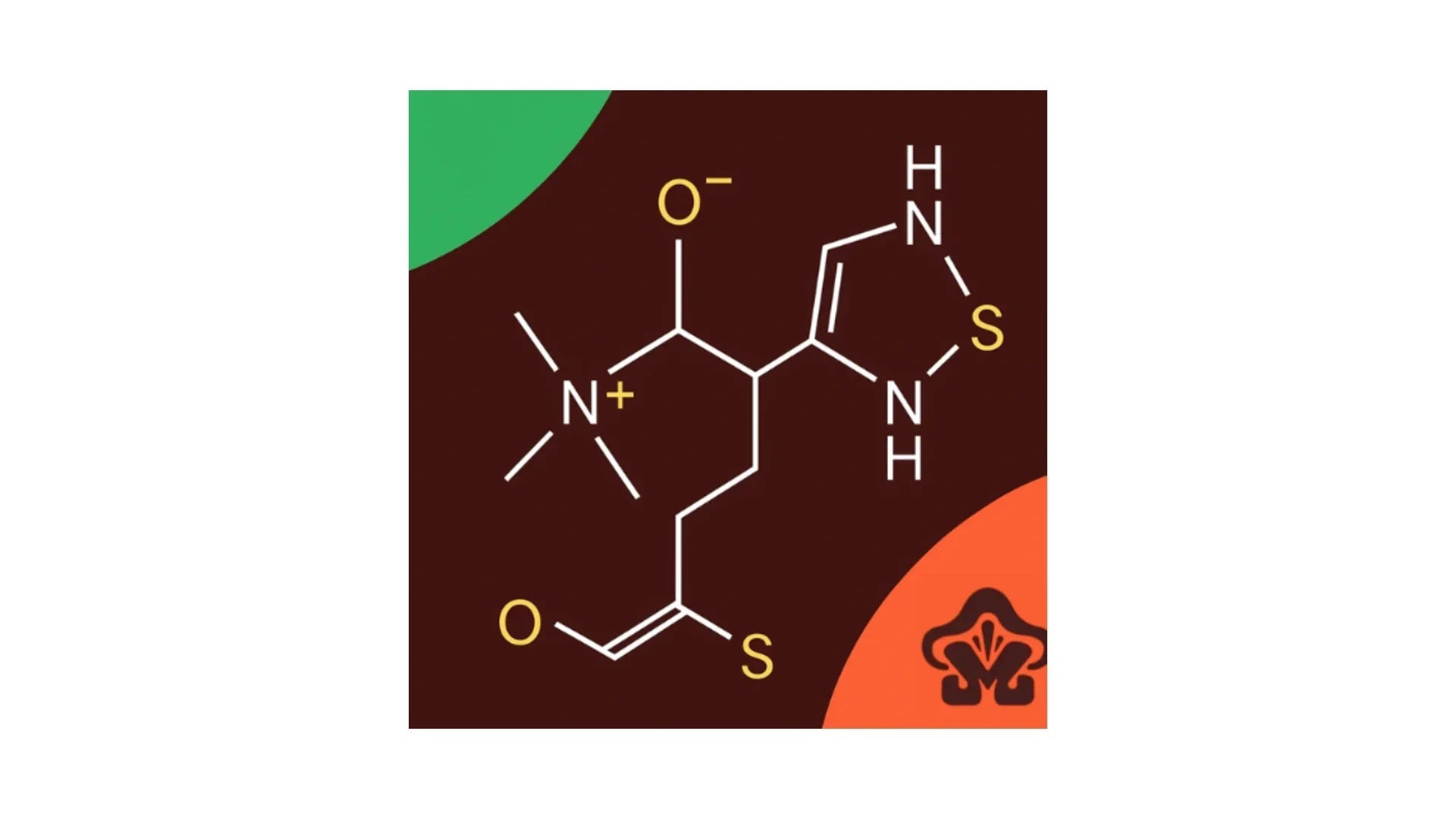 The Hidden "Longevity Vitamin" Found in Functional Mushrooms
