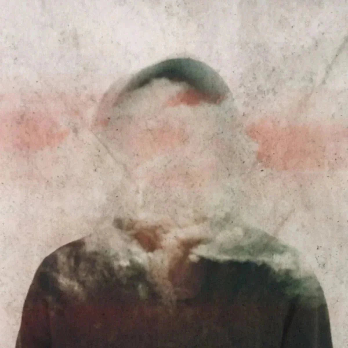 Clear the Fog: Natural Ways to Enhance Cognitive Function - Mycogenius