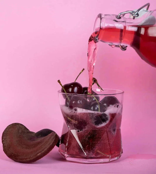 Functional Mushroom Harmony with Organic Kombucha - Mycogenius
