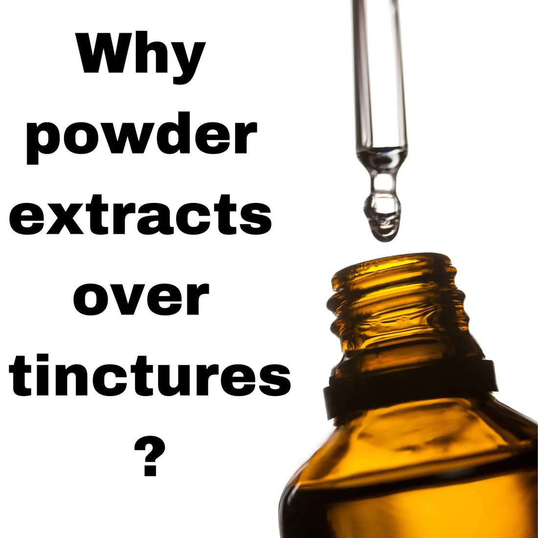 Mushroom Powder Extracts vs Tinctures: Which is Better for Your Health? - Mycogenius