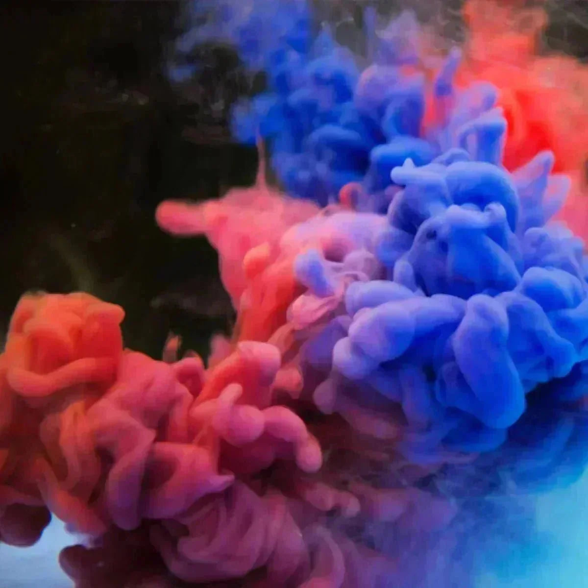 Reishi Mushroom for Sleep: Best Natural Supplement for Restful Nights Without Melatonin - Mycogenius