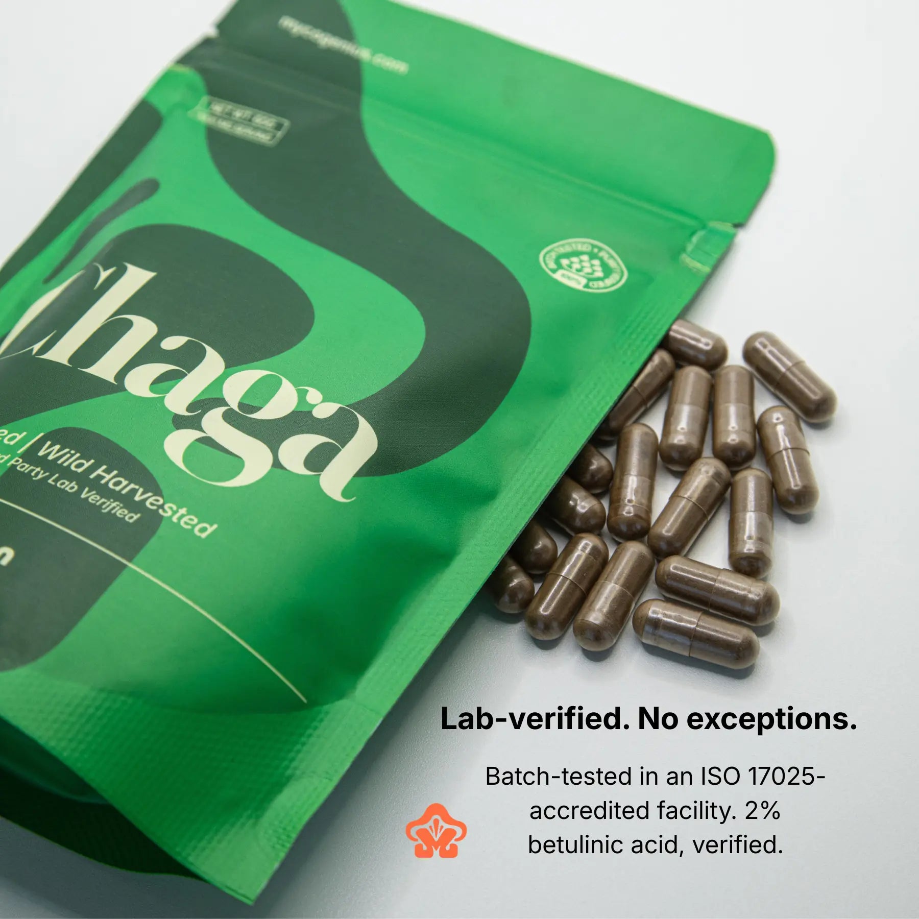 Organic Chaga Mushroom Extract Capsule/Powder