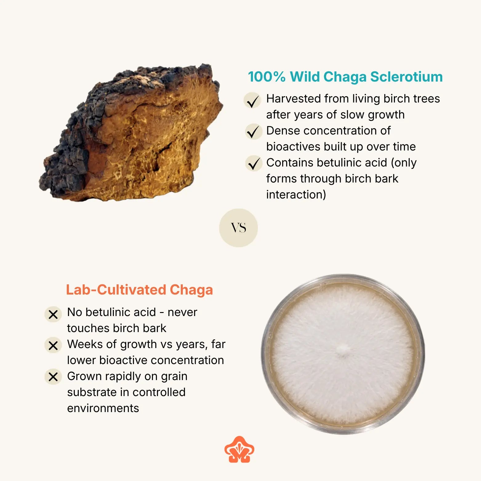 Organic Chaga Mushroom Extract Capsule/Powder