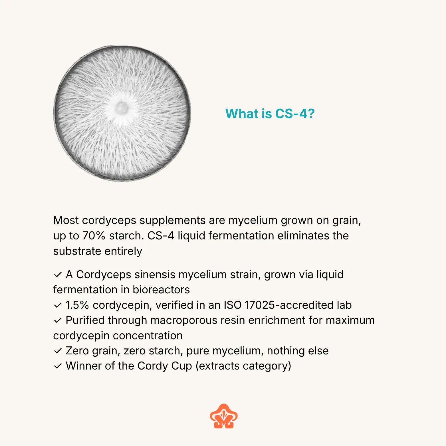 Organic Cordyceps Extract Capsule/Powder