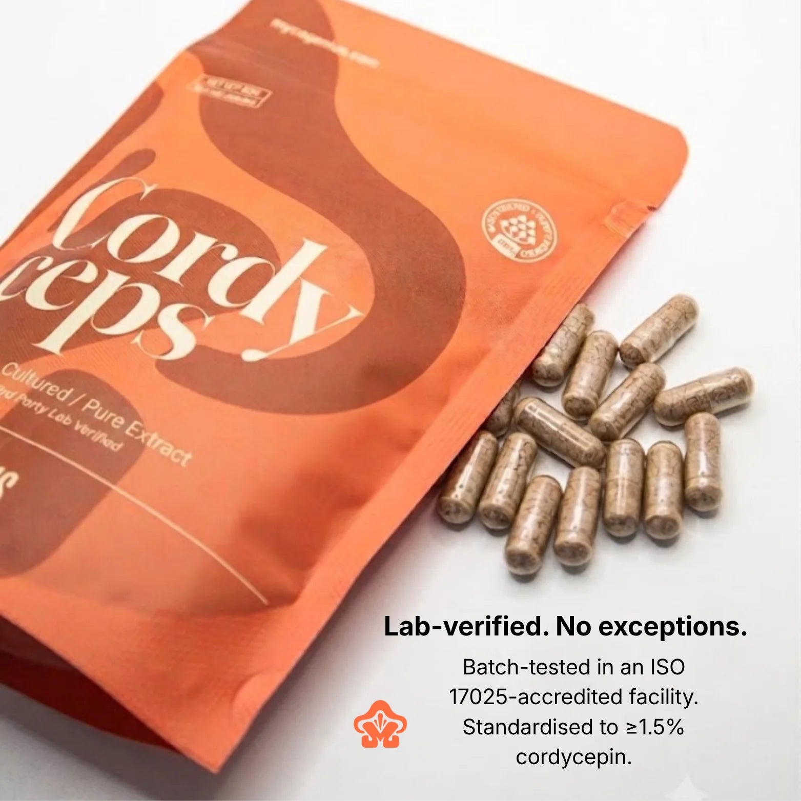 Organic Cordyceps Extract Capsule/Powder