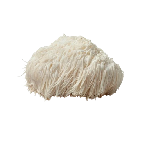 Ball of white yarn on a white background