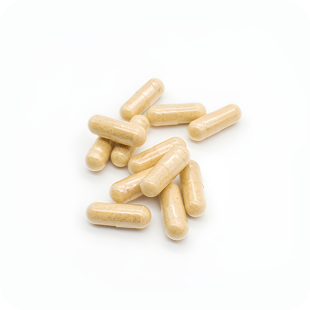 Organic Reishi Capsules