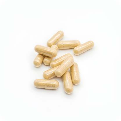 Organic Reishi Capsules